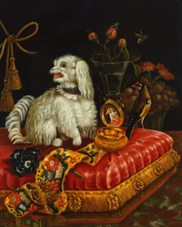Poodle on a Cushion